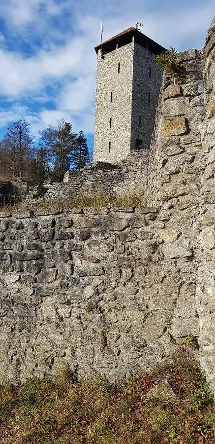 Ferienwohnung Wildgatter Grafenwiesen Apartmán